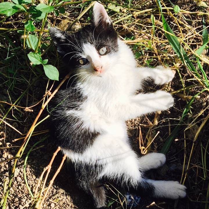 19007695 07fd 4650 a827 a92dbd04e988