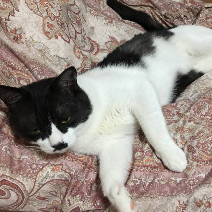 1900eadc c373 4520 838d a705a0c61428