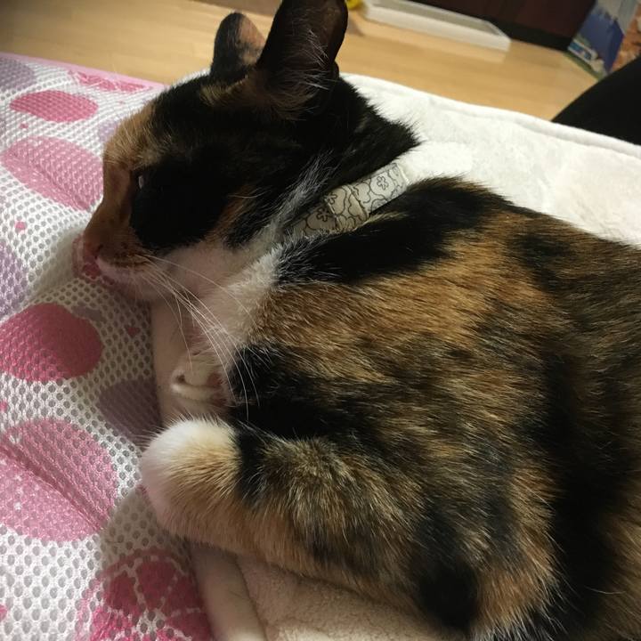 19015d3d 8115 41ad 95f0 7bc21ae313bf