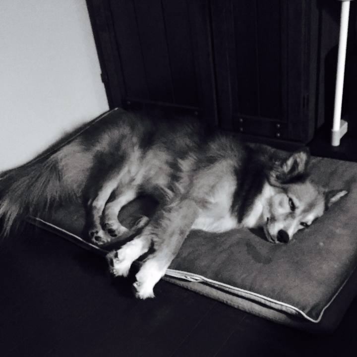 19016f9a 7fb6 41e3 839f 5a2d37132943