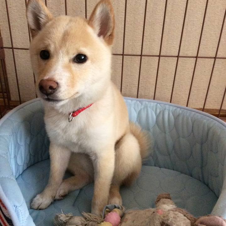 190208e3 780f 4ac7 baf3 c910ff0c8031