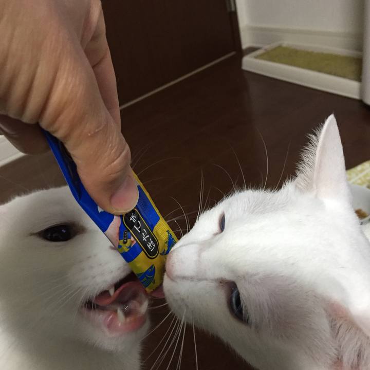 190238a8 b750 46bd b729 f7ec86d75cbb