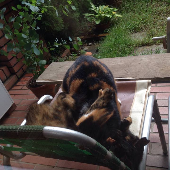 19025c6a e69a 4483 a407 d565353e0376