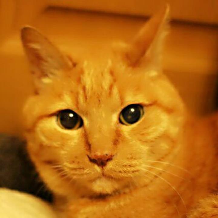 19030a36 8af3 465f 9efd 89640a327d7a