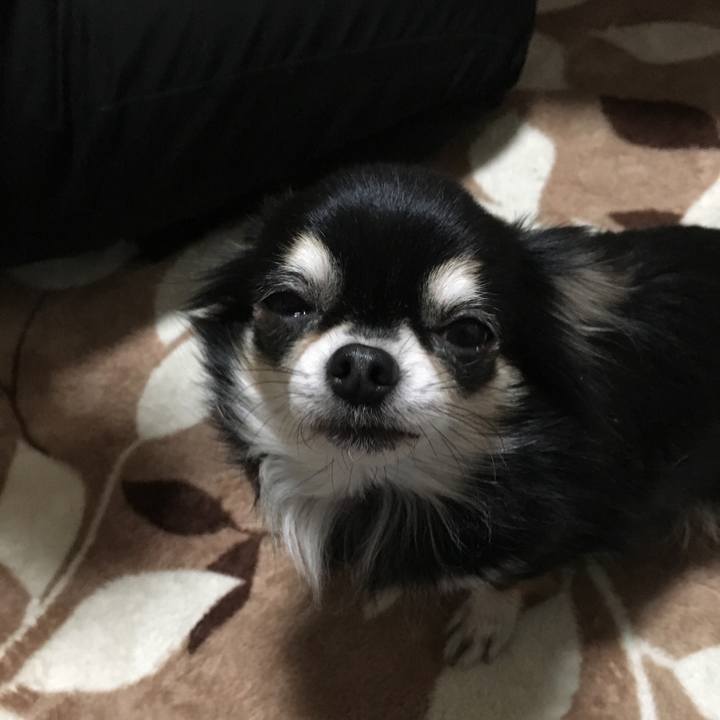 19054564 c07d 4d88 972d 7c32ef29af66