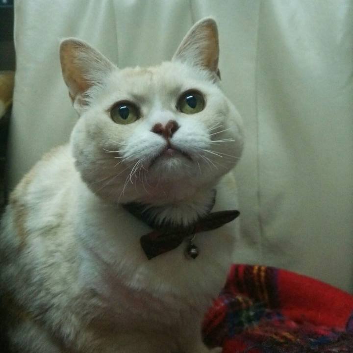 19057ddf ac8f 4882 b910 7783bc1f7dff