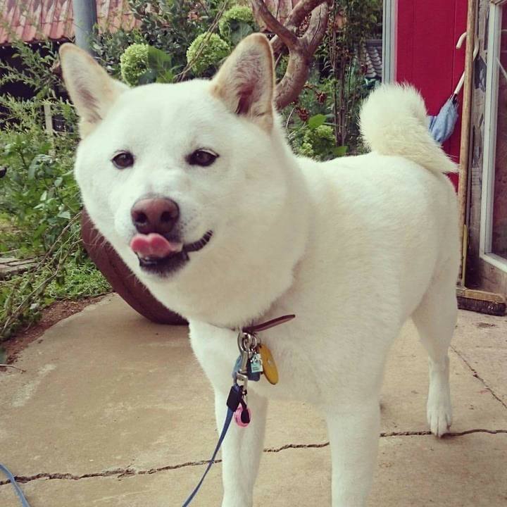 1905a946 2010 4274 ab21 17df8660f81d