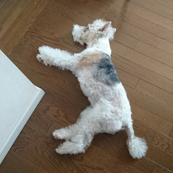 1905c36f 3029 4a88 b34d 08578cd0011b