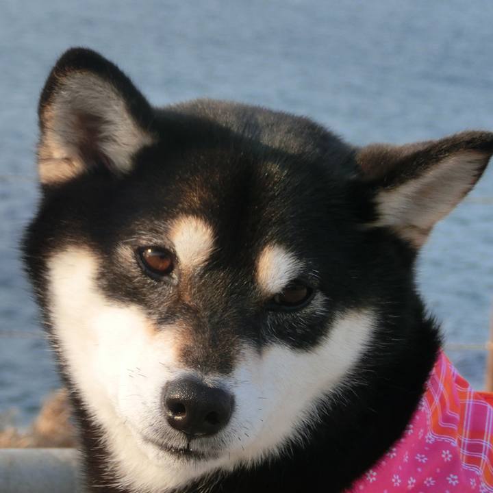 19073840 5f89 4aad ae3c 92f062136223