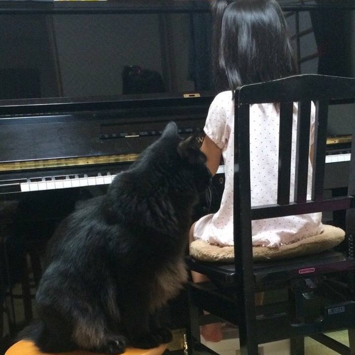 190802e6 fa18 4a46 a72e dc4ab0197542