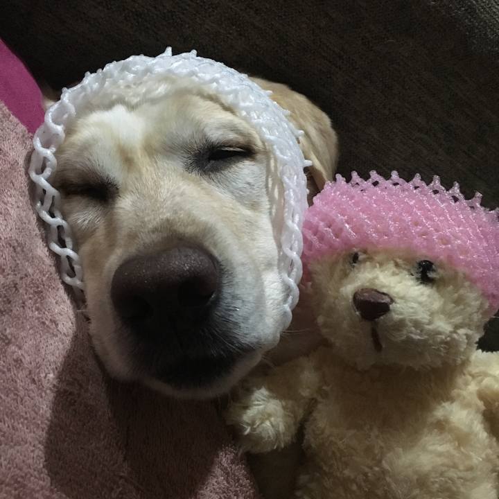 190850cb a219 47a5 9b1a 8d8dbec72c58