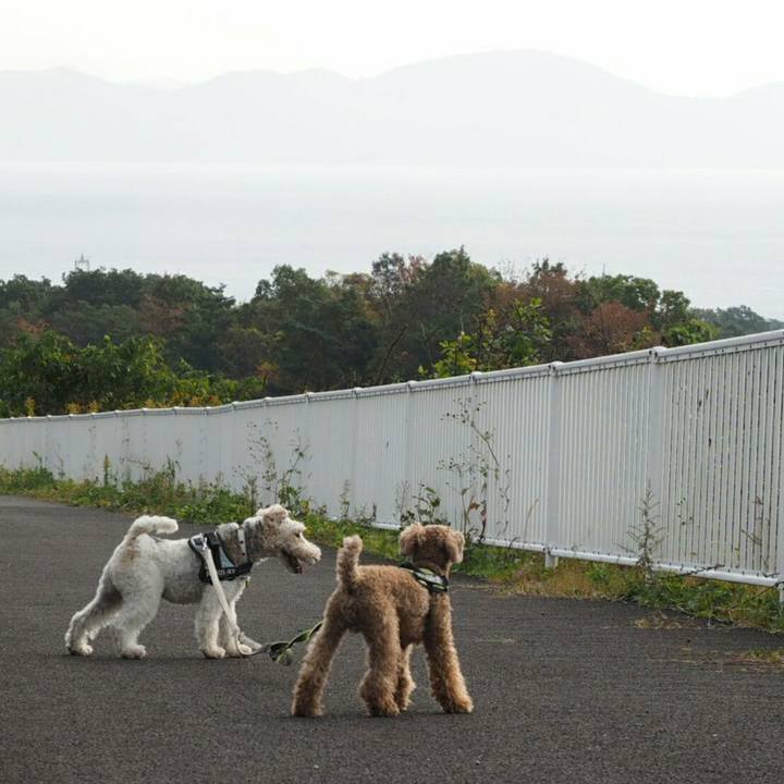 190882e2 f003 4105 96ac 514bb70392b6