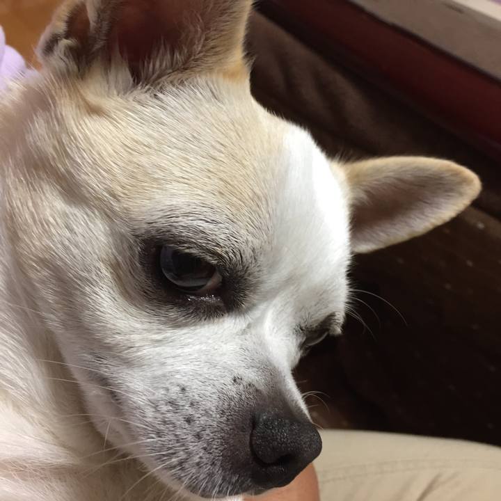 1908b926 68f7 43de 894c 194ba2c36d98