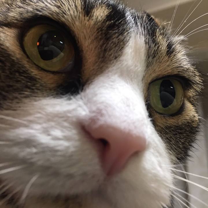 1909b78e c96a 4476 8c10 081ed42b30d1