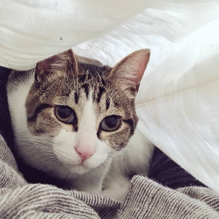 190a1cbe 03e1 4cbb 8f43 8aa3f243b029