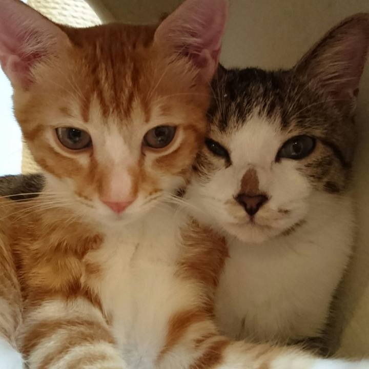 190a65d0 850e 44af 9e41 77f1b633b96f