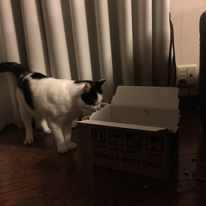 190ab9b2 b243 4663 9e2e ba20be52a748