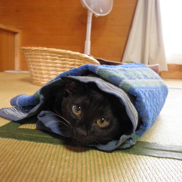 190ac8bb 7a37 4478 ab5d d6c6333e0415