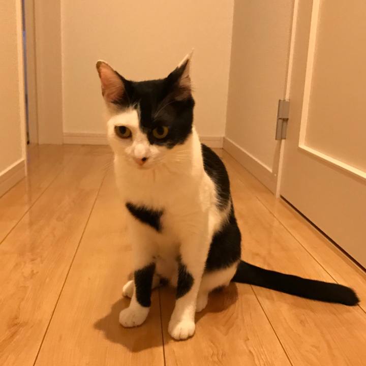 190ad862 d50b 46fd 8694 8883de05702a