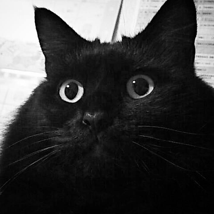 190b22ba a81d 4d67 887e 66755d30459d