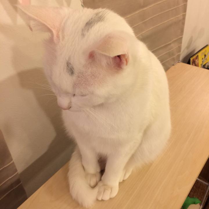 190c2783 1ba9 4c97 9042 94b2d7194d47