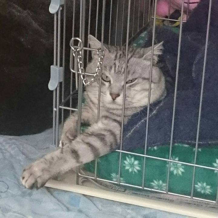 190c9054 c4bb 4bf3 a351 cc42056aa358