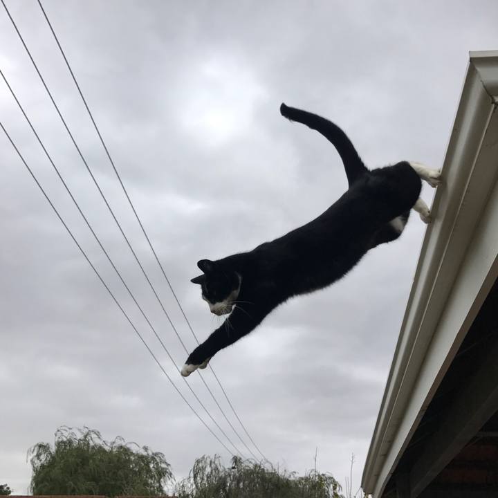 190cb218 1890 4cc9 9473 0dca5d9cf059