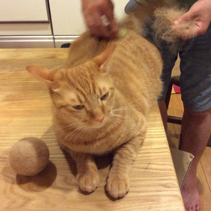 190d2c06 f8cd 4060 b2bd fbd435c79a35