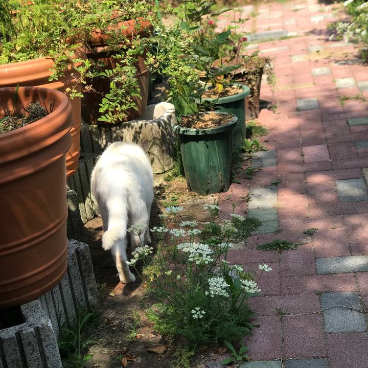 190d3020 b8d2 46cc 9d50 ad0187e0eb38