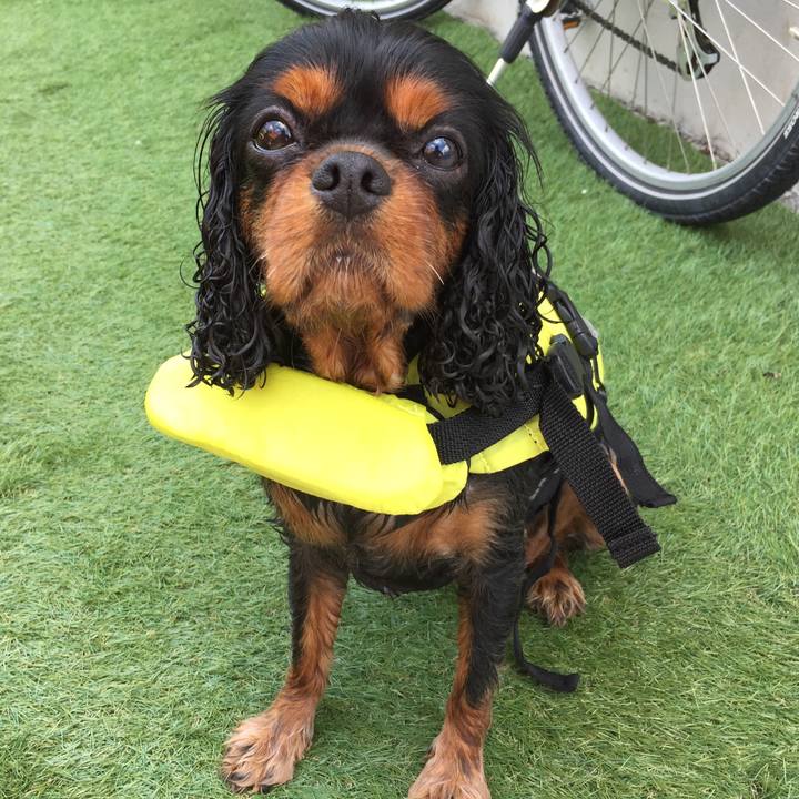 190d8806 d151 4774 8eda 21771cefc60b