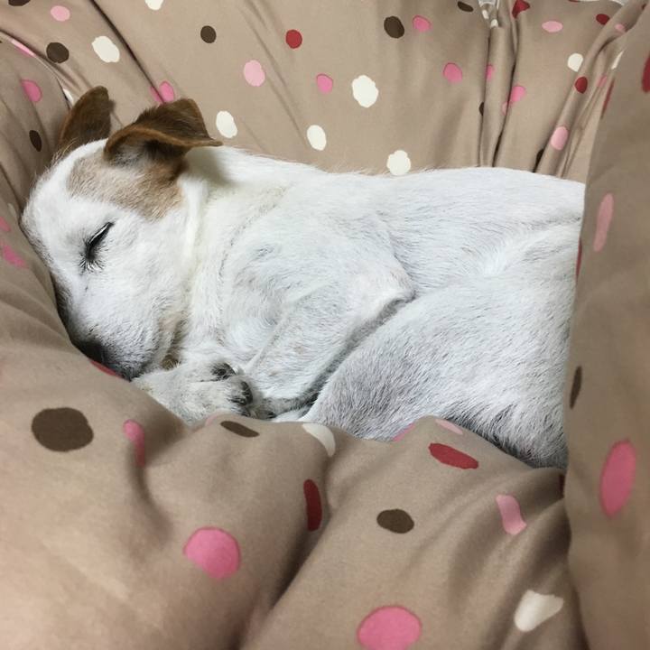 190d97ad c580 403f 8078 7fe1237df5a5