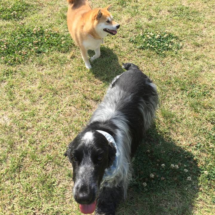 190f23f4 5f30 4764 aaed fdc668e8e931