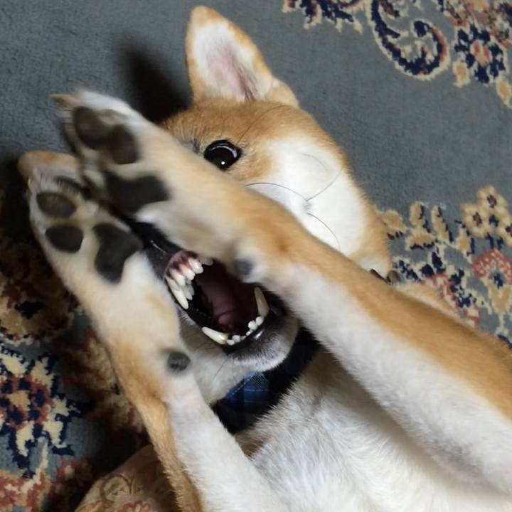 19103fbb 5ef5 4e32 878b a6bc92f2f046