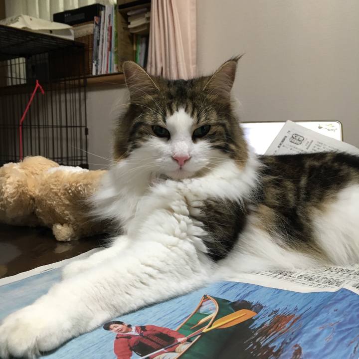 1910f1e6 eba6 443f 8a97 86cc1222581e