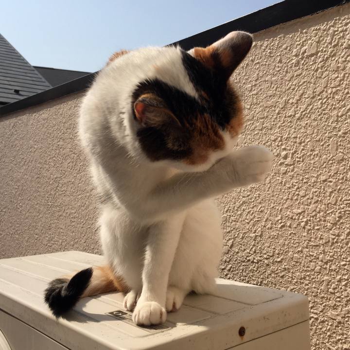 19118b00 a618 4510 ab42 fccec1f217f7