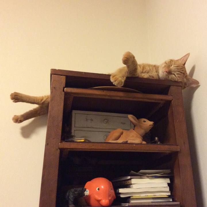 1911a1de 6fee 4c14 9ea0 bcad87267880