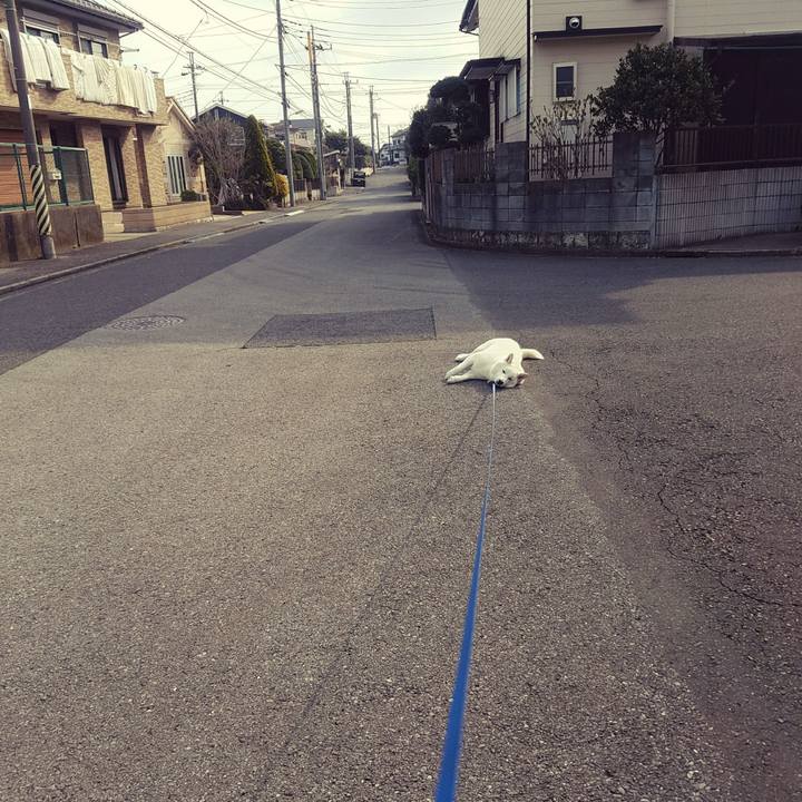 19128a9f 5927 4bd1 9f2a 27f81209311b