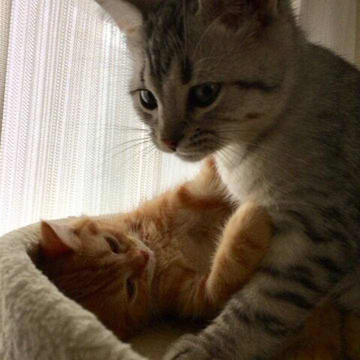 19128b08 13e5 4ea7 9a2e 23641eedc585