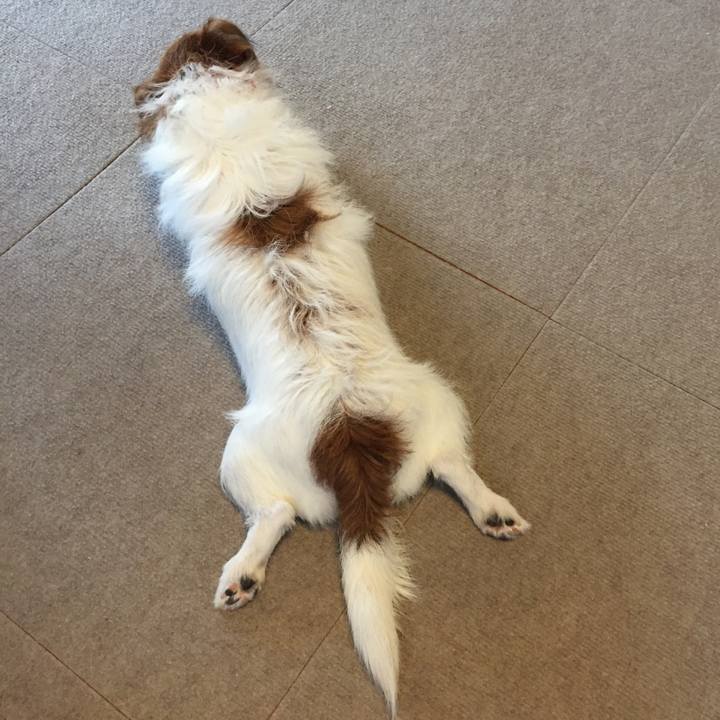 19131a57 89fd 42df ac59 3605a4a49b55