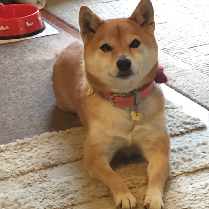 19137d0a 94a6 40b9 a584 1ab0a41b1d68