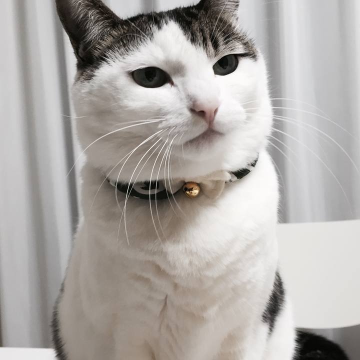 1913f50e 8005 42c5 ba75 e3fcd424d375