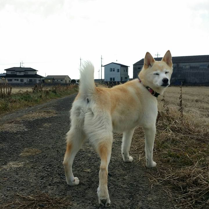 19140534 1398 4308 96e9 daa94ea72c06