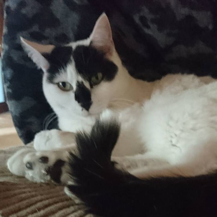 191415aa bc7b 4c74 8061 4d56cfcad688