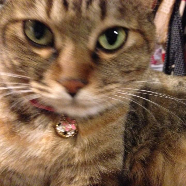 191446b4 04d4 4efc a518 06d548a1656d