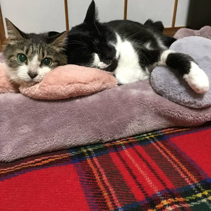 1914c568 b492 4957 b59a a0f1956809e7