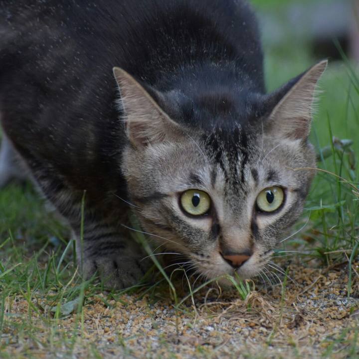 19151da0 a68a 4944 96a3 d774f619341b