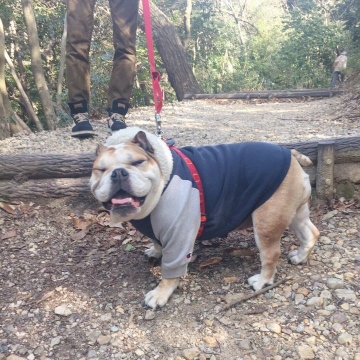 191527e4 e6ff 4a19 9df0 7d88f2ac89ff