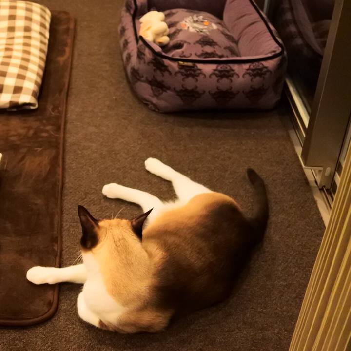 19157857 6ca8 4715 a538 5d320e2d9b71