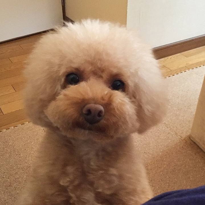 19158369 5ed9 4f39 b60d 7c04103473d2