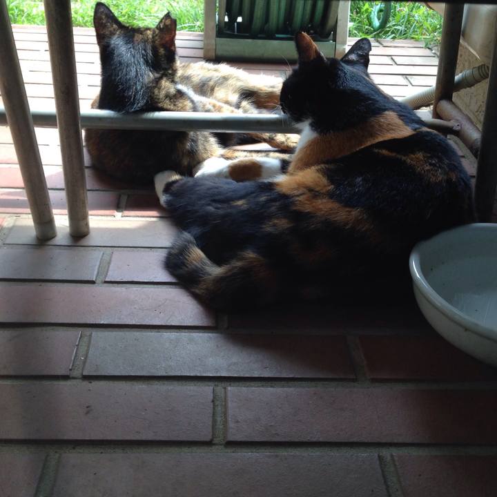 1915b96a 339e 4b62 b6f2 b95345fb6075